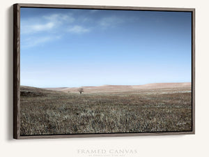 Flint Hills wall art – prairie tree landscape photography by Debra Gail Fine Art