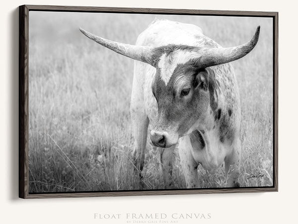 Debra Gail Fine Art Walnut Framed Canvas / 10x8 Western Home Wall Decor - Longhorn Cow Canvas