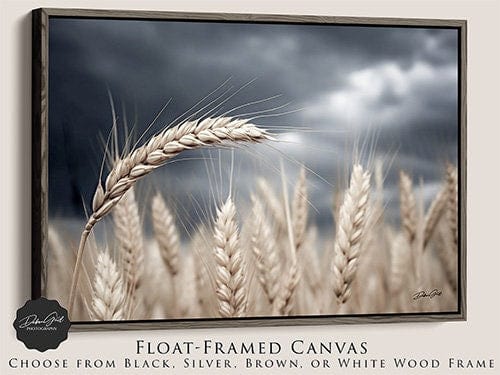 Debra Gail Fine Art Walnut Framed Canvas / 10x8 Wheat Under a Stormy Sky | Kansas Art Print