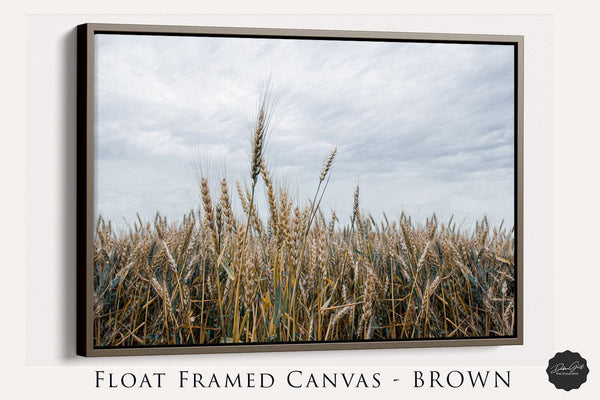 Debra Gail Fine Art Walnut Framed Canvas / 10x8 WHEATFIELD NATURE PHOTOGRAPHY - RURAL KANSAS LANDSCAPE ART