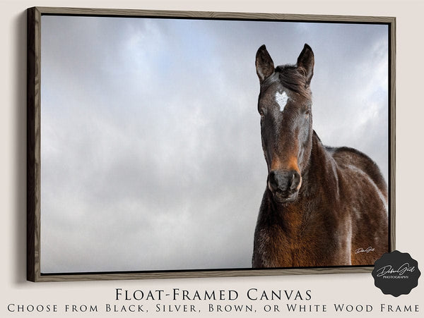 Debra Gail Fine Art Walnut Framed Canvas / 10x8 WILD HORSE HEART - NATURE PHOTOGRAPHY ART PRINT