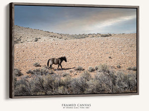 Wild Horse wall art – rustic Western fine art print by Debra Gail Fine Art