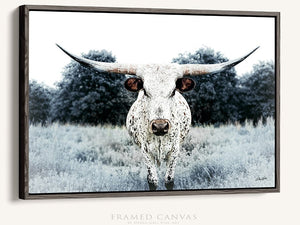 Longhorn wall canvas barnwood framed Western fine art print by Debra Gail Fine Art