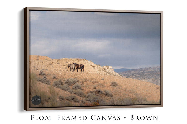 Debra Gail Fine Art Walnut Framed Canvas / 18x12 WILD HORSES ART PRINT - WYOMING WILDLIFE PHOTOGRAPHY