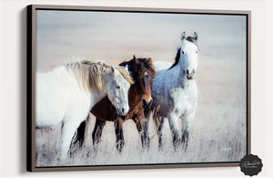 Wild horses wall art canvas print – rustic flint hills prairie farmhouse western decor