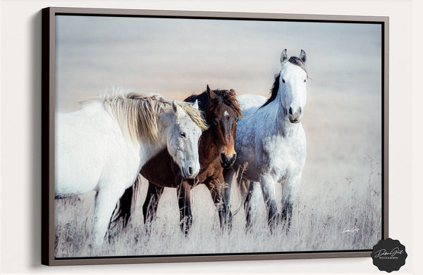 Debra Gail Fine Art Walnut Framed Canvas / 18x12 WILD HORSES PRINT - FLINT HILLS WALL ART