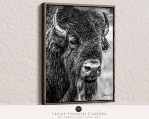 Bison wall art – neutral sepia rustic prairie photography print by Debra Gail Fine Art
