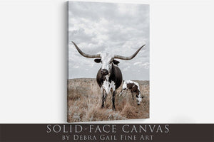Texas Longhorn wall canvas barnwood framed Western fine art print by Debra Gail Fine Art