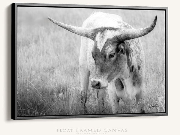 Debra Gail Fine Art Western Home Wall Decor - Longhorn Cow Canvas