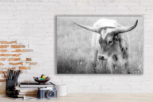 Debra Gail Fine Art Western Home Wall Decor - Longhorn Cow Canvas