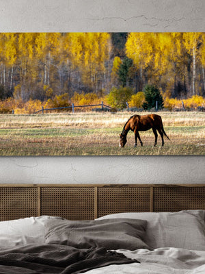 Panoranic wide horse wall art – Western fine art print by Debra Gail Fine Art