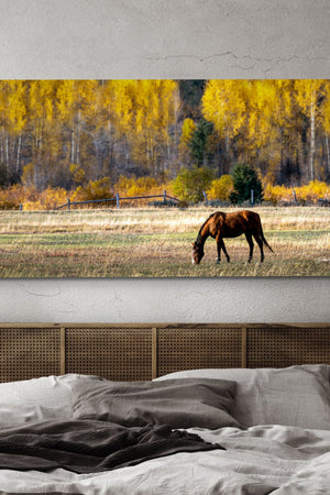 Panoranic wide horse wall art – Western fine art print by Debra Gail Fine Art