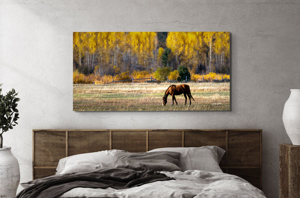 Debra Gail Fine Art Western Horse Art Print | Wyoming Rustic Wall Art