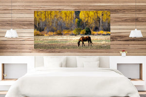 Panoranic wide horse wall art – Western fine art print by Debra Gail Fine Art