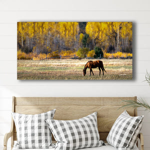 Panoranic wide horse wall art – Western fine art print by Debra Gail Fine Art