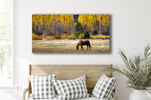 Debra Gail Fine Art Western Horse Art Print | Wyoming Rustic Wall Art