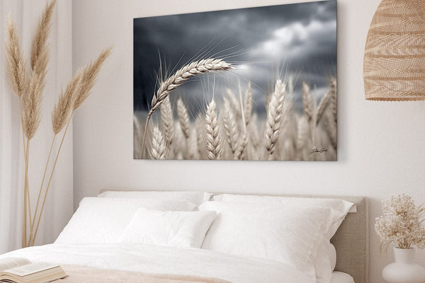 Debra Gail Fine Art Wheat Under a Stormy Sky | Kansas Art Print