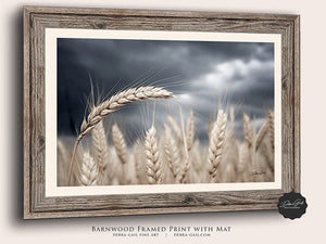 Wheat field wall art – Kansas prairie agriculture photography by Debra Gail Fine Art