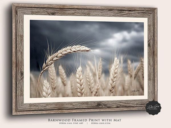 Debra Gail Fine Art Wheat Under a Stormy Sky | Kansas Art Print