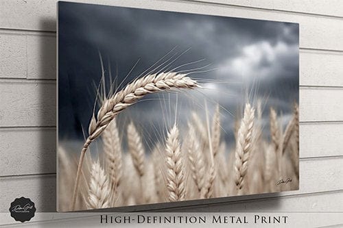 Debra Gail Fine Art Wheat Under a Stormy Sky | Kansas Art Print