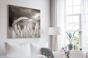 Wheat field wall art – Kansas prairie agriculture photography by Debra Gail Fine Art