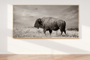 Debra Gail Fine Art WIDE BISON WALL ART - PANORAMIC PICTURE