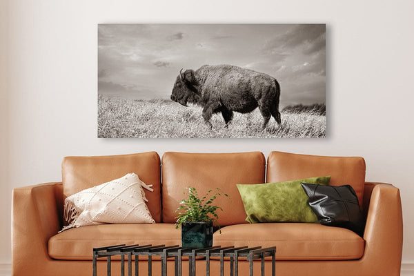 Debra Gail Fine Art WIDE BISON WALL ART - PANORAMIC PICTURE