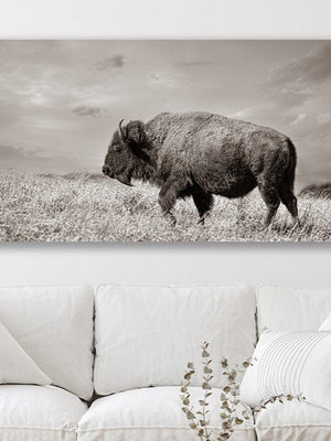 Debra Gail Fine Art WIDE BISON WALL ART - PANORAMIC PICTURE