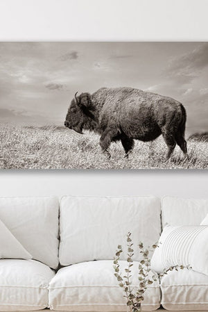 Debra Gail Fine Art WIDE BISON WALL ART - PANORAMIC PICTURE