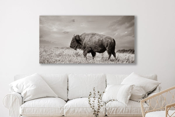 Debra Gail Fine Art WIDE BISON WALL ART - PANORAMIC PICTURE