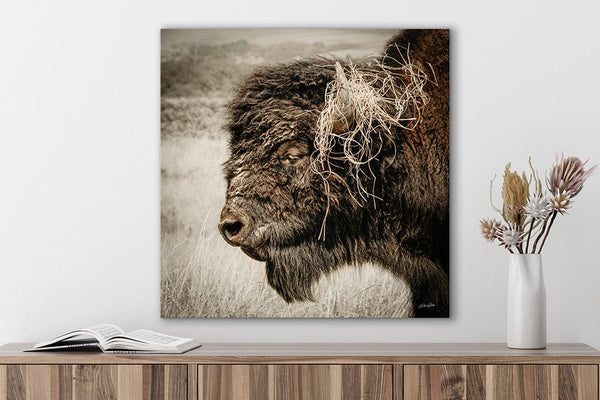 Debra Gail Fine Art Wild and Free – Bison in the Prairie - Rustic Buffalo Wall Art Decor