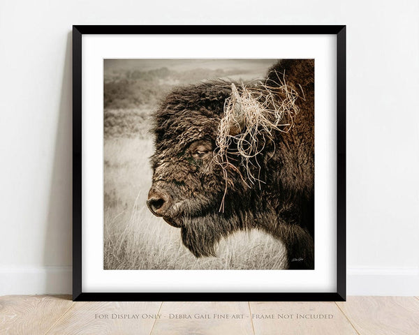 Debra Gail Fine Art Wild and Free – Bison in the Prairie - Rustic Buffalo Wall Art Decor