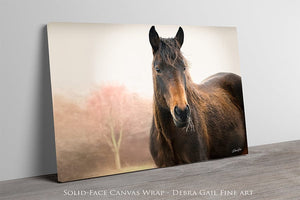 Wild Horse wall art – rustic Western fine art print by Debra Gail Fine Art