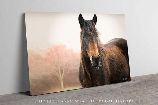 Debra Gail Fine Art Wild Horse Art Print - Rustic Western Wall Decor - Wild Mustang