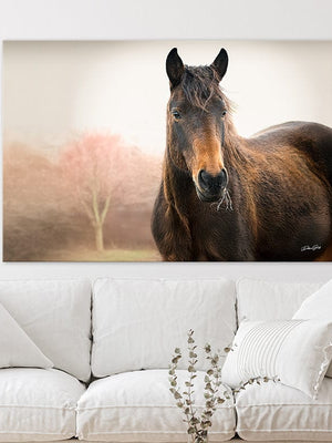 Wild Horse wall art – rustic Western fine art print by Debra Gail Fine Art