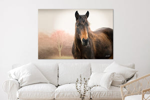 Wild Horse wall art – rustic Western fine art print by Debra Gail Fine Art