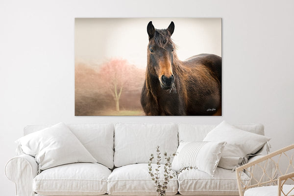 Debra Gail Fine Art Wild Horse Art Print - Rustic Western Wall Decor - Wild Mustang