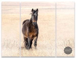 Horse Triptych oversized horse wall art extra large canvas set