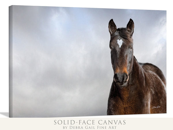 Debra Gail Fine Art WILD HORSE HEART - NATURE PHOTOGRAPHY ART PRINT