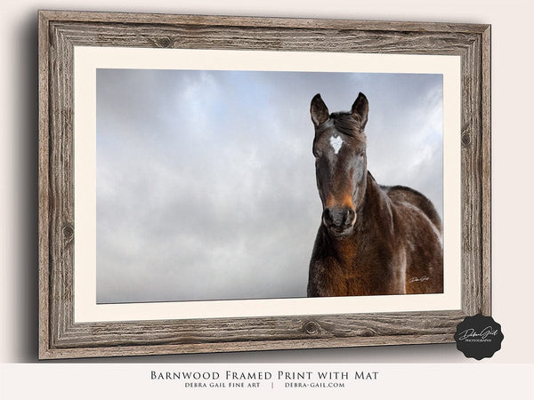 Debra Gail Fine Art WILD HORSE HEART - NATURE PHOTOGRAPHY ART PRINT