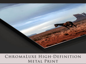 Southwest wild horse decor canvas art – rustic Western decor