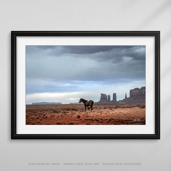 Debra Gail Fine Art WILD HORSE IN MONUMENT VALLEY - SOUTHWESTERN DECOR