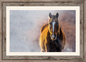 Wild Horse wall art – rustic Western fine art print by Debra Gail Fine Art