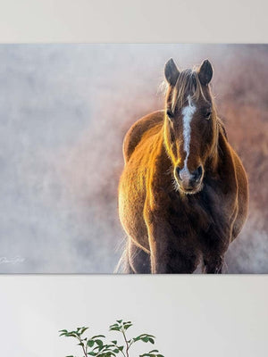 Wild Horse wall art – rustic Western fine art print by Debra Gail Fine Art