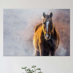 Wild Horse wall art – rustic Western fine art print by Debra Gail Fine Art