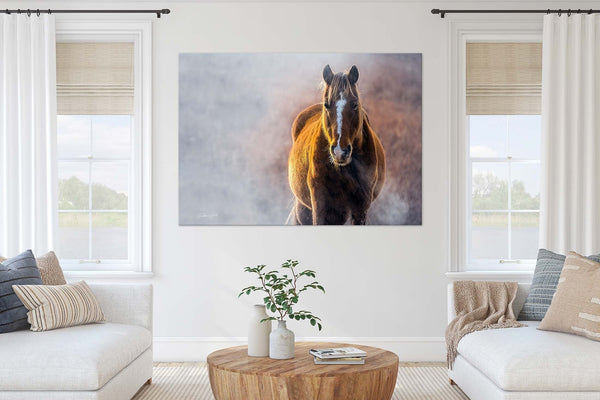 Debra Gail Fine Art WILD HORSE PRINT - HORSE LOVERS PHOTOGRAPHY DECOR