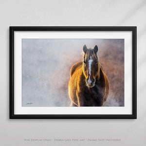 Wild Horse wall art – rustic Western fine art print by Debra Gail Fine Art