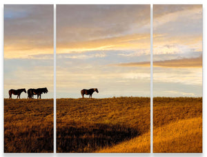 horse split panel triptych wall art – rustic Western canvas prints