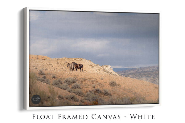 Debra Gail Fine Art WILD HORSES ART PRINT - WYOMING WILDLIFE PHOTOGRAPHY