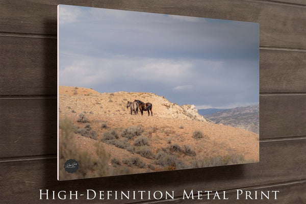 Debra Gail Fine Art WILD HORSES ART PRINT - WYOMING WILDLIFE PHOTOGRAPHY